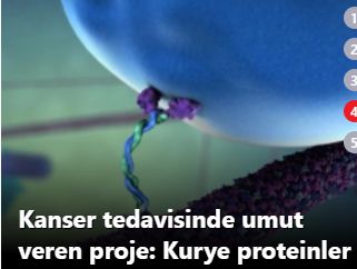 Türk bilim insanından kanser tedavisinde umut veren proje: Kurye proteinler