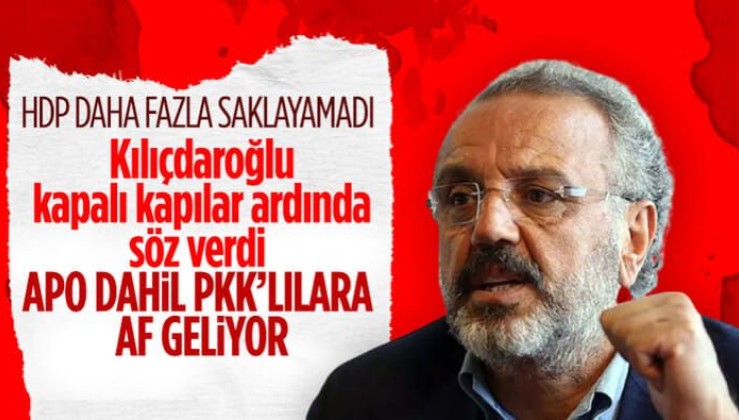 HDP’li Sırrı Sakık: Kılıçdaroğlu kapalı kapılar ardında verdiği sözleri kamuoyu ile paylaşmalı